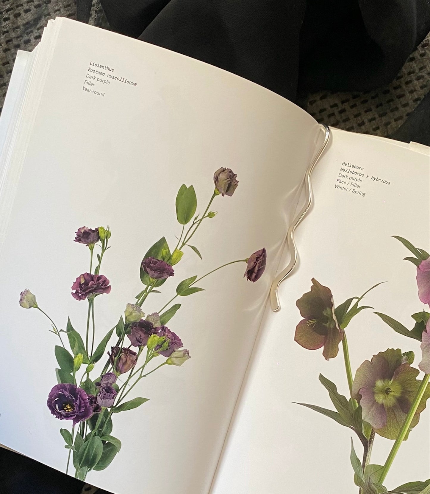 Bookmark Luna Silver