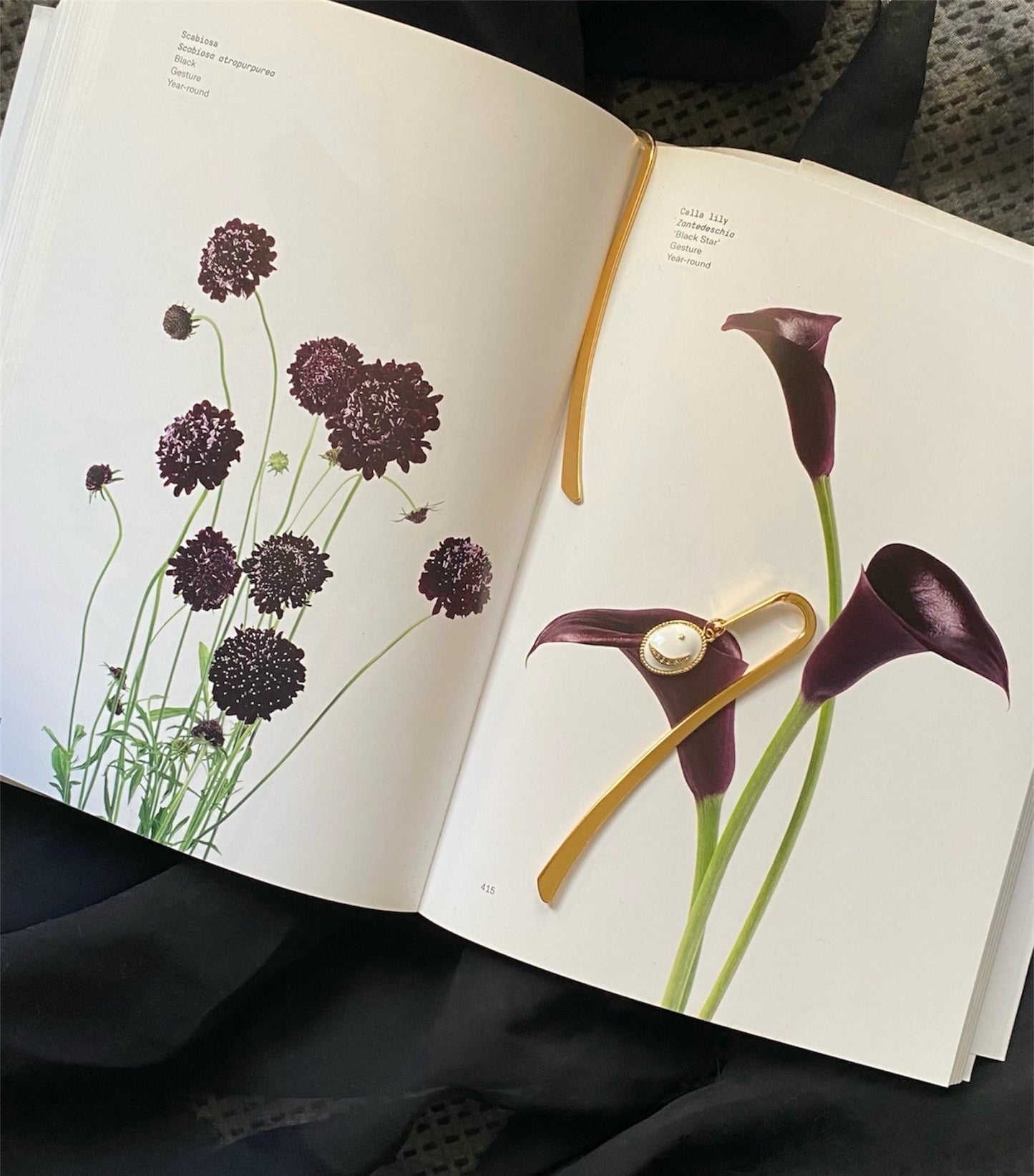 Bookmark Mystical Black