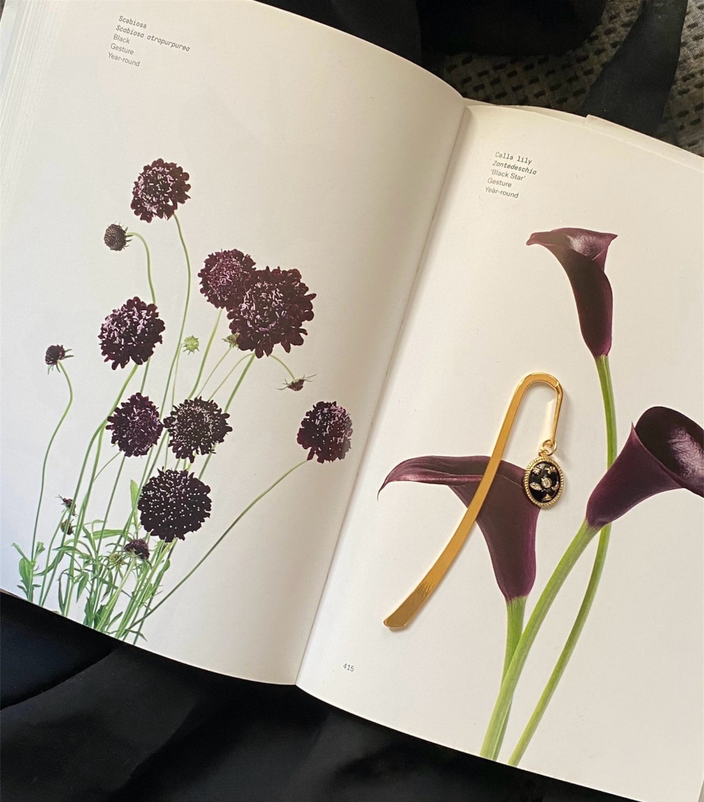 Bookmark Mystical Black